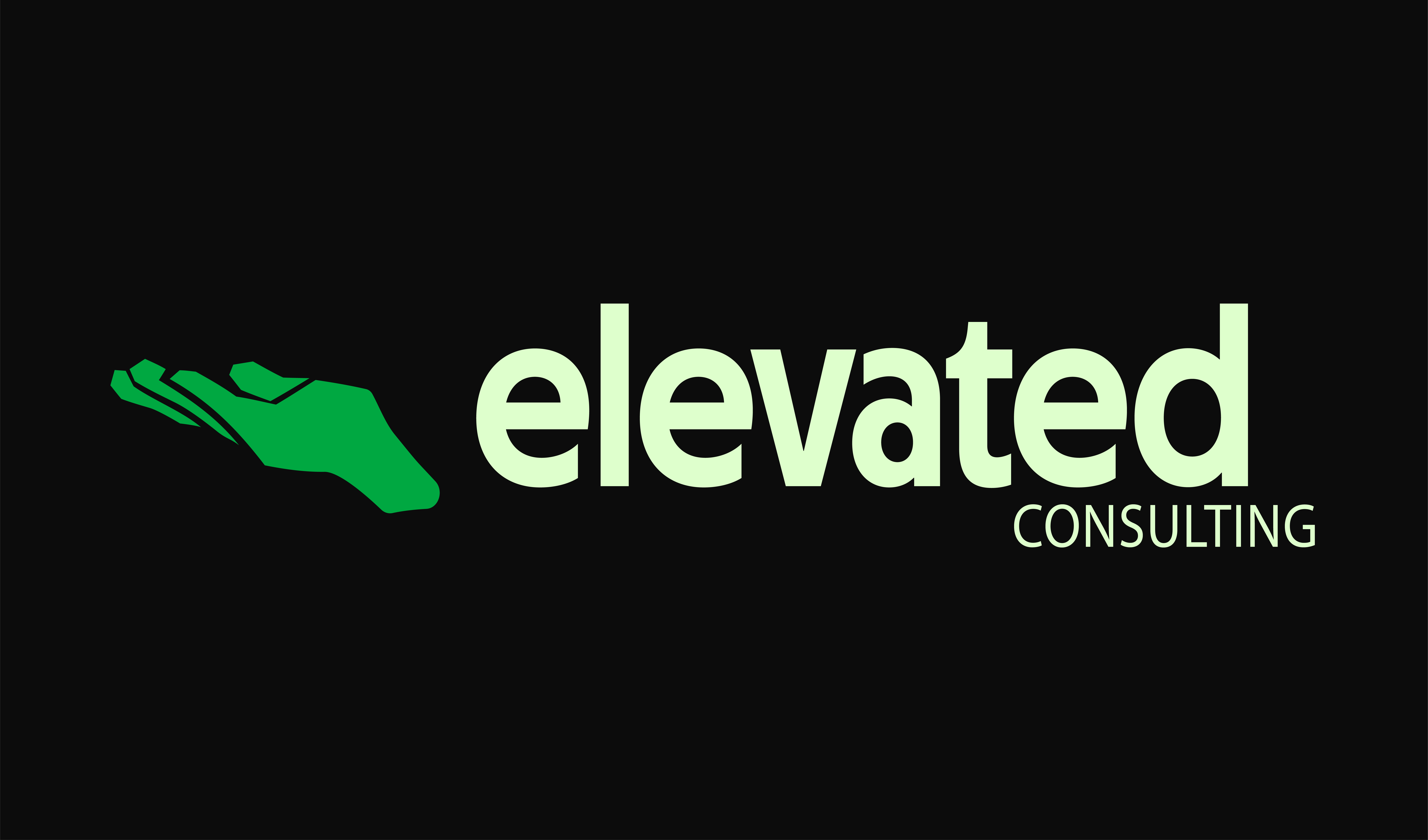 Elevated Consulting